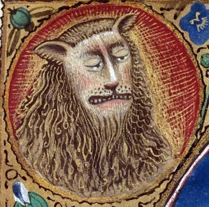 lion6.webp lion6.webp
